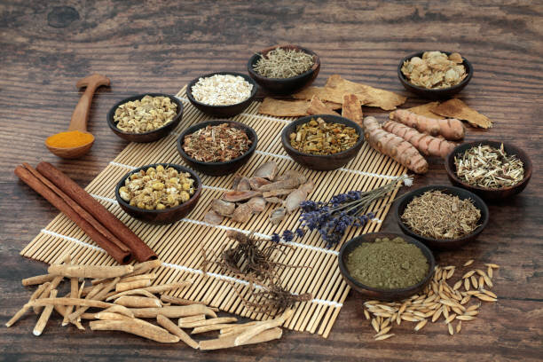 Adaptogene in Ayurveda und TCM