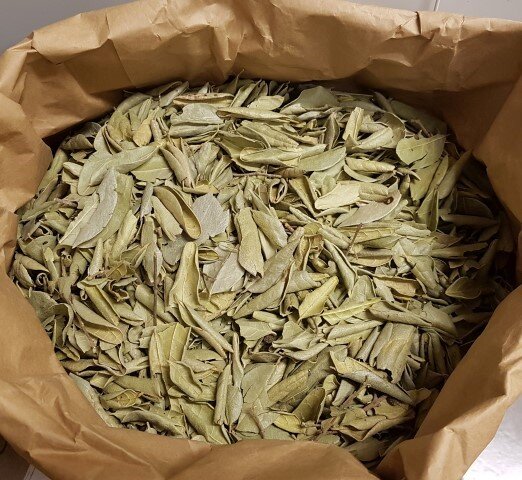 Boldo leaves for infusions from Paraguay -  2 for 1, Best Before date expired