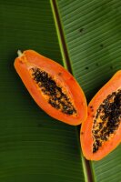 Papaya Fruchtpüree 100g, tiefgefroren