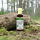 Artemisia annua, annual mugwort, extract 100 ml drops alcohol free