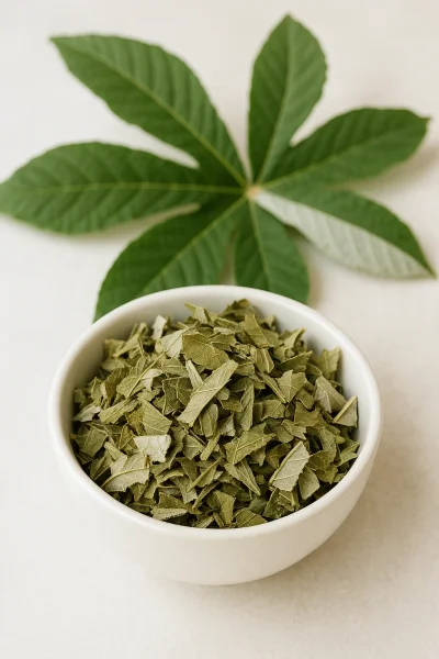 Trumpet tree leaves