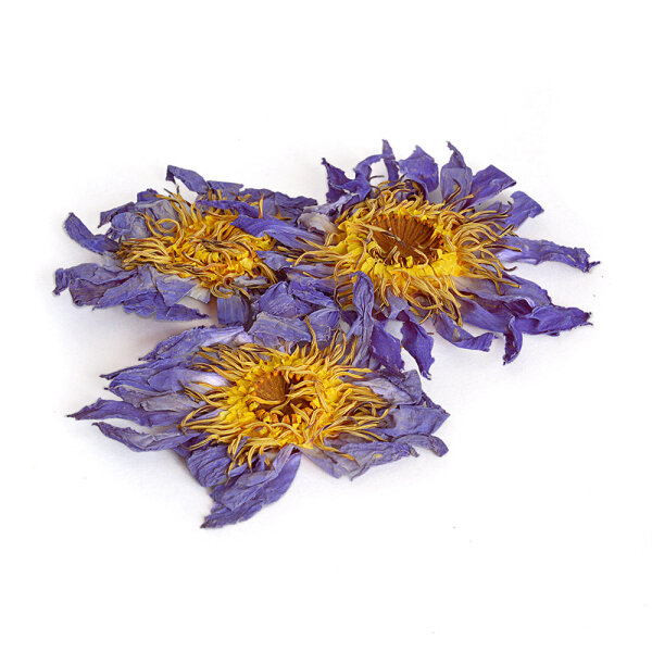 Blauer Lotus ganze Blüten   500g - € 11,20 pro 25g