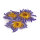 Blauer Lotus ganze Blüten   500g - € 11,20 pro 25g
